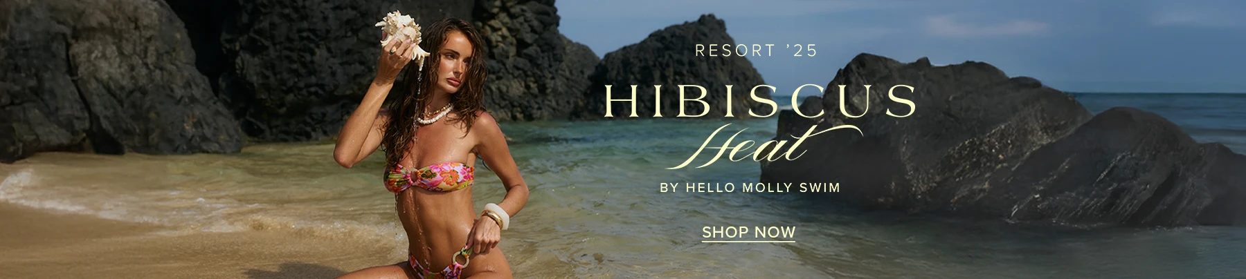 NZ DESKTOP - SUB BANNER